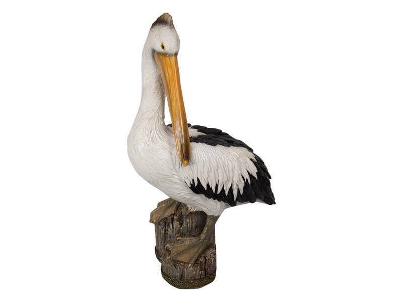 Pelican on Log (Large)